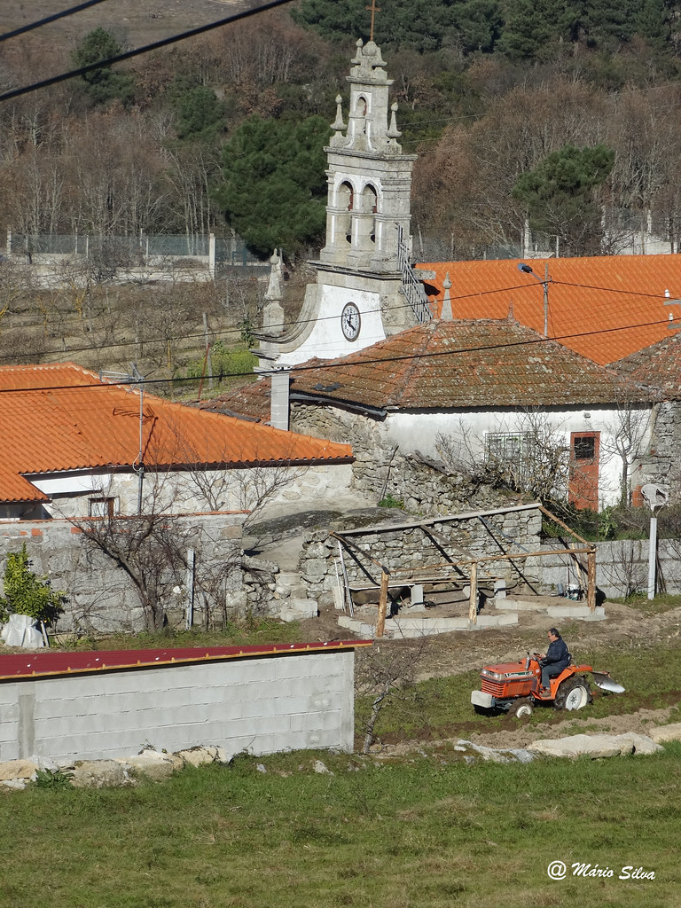 Águas Frias (Chaves) - ... lavrando ... e a torre da Igreja ... Águas Frias (Chaves) - ... lavrando ... e a torre da Igreja ...